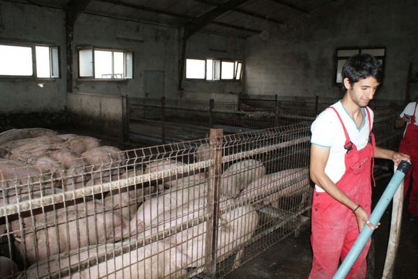 "Tânăr român, fermier european!". Concurs cu premii pentru tinerii fermieri