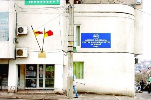 Angajatorii din mediu privat pun la bătaie peste 230 de oferte de muncă