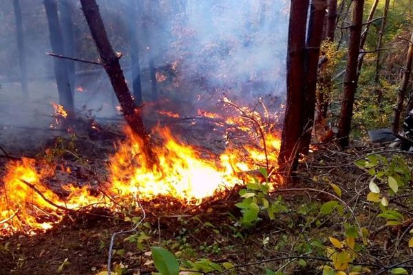 Atenţie la arderea vegetaţiei uscate! Şase incendii în câteva ore