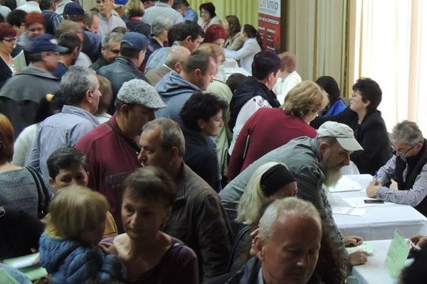 Aproape 50 la sută din şomerii Sălajului sunt fără studii sau cu studii primare