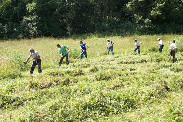 Zilierii, la control! Sancţiuni pentru angajatorii lor