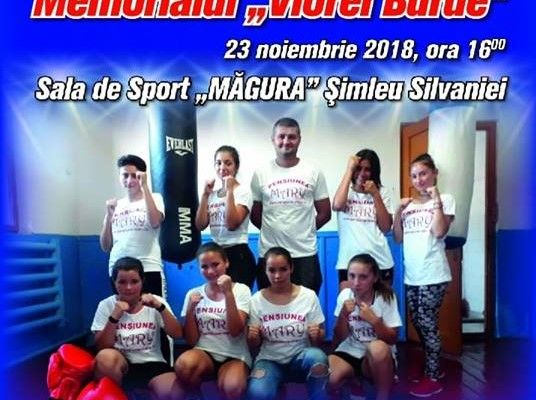 Gala de box la Şimleu Silvaniei. Pugilişti din mai multe judeţe, aşteptaţi la Memorialul “Viorel Burde”