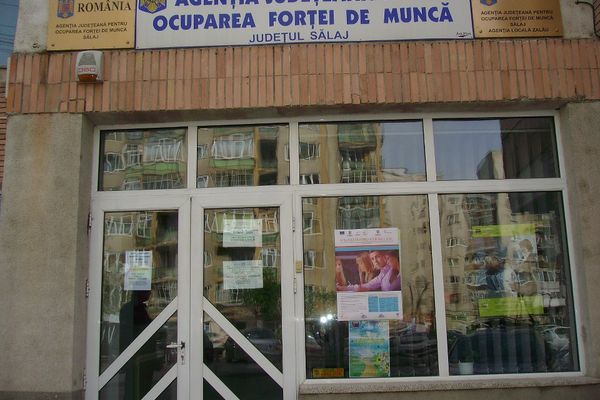 Angajări cu nemiluita în mediul privat. Peste 200 de oferte de muncă