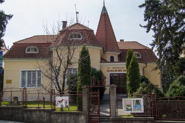 Galeria de Artă ''Ioan Sima'', într-o stare avansată de degradare. Reabilitarea clădirii, la mâna consilierilor judeţeni