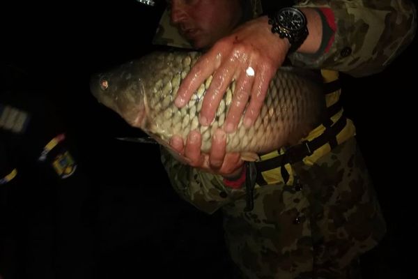 A plătit o ''porţie'' de peşte cu 600 de lei