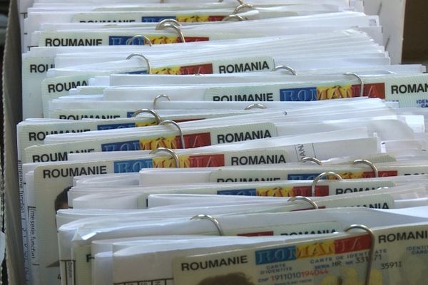 BEJ Sălaj - Rezultate finale la alegerile europarlamentare