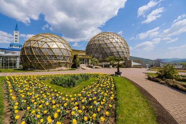 La Grădina Botanică din Jibou -''Flori, fete și băieți, melodii și cântăreți''