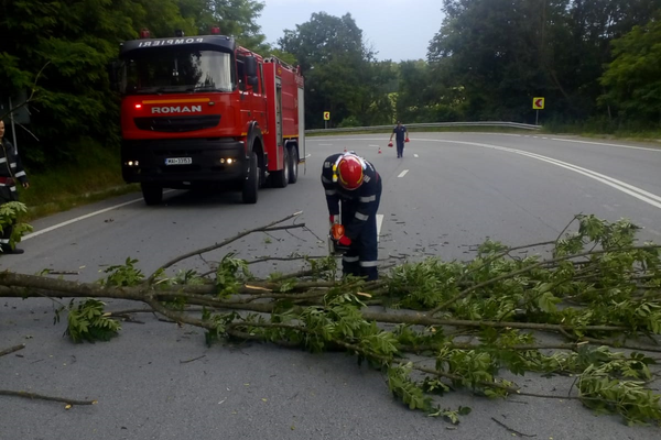 În apropierea localităţii Perii Vadului: trafic blocat pe un sens din cauza unui copac căzut pe partea carosabilă