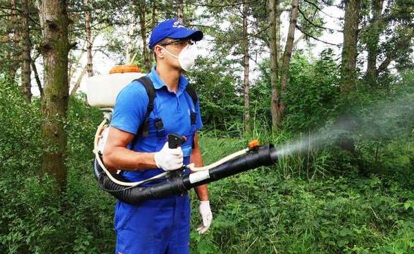 O nouă acțiune de dezinsecție şi deratizare la Zalău