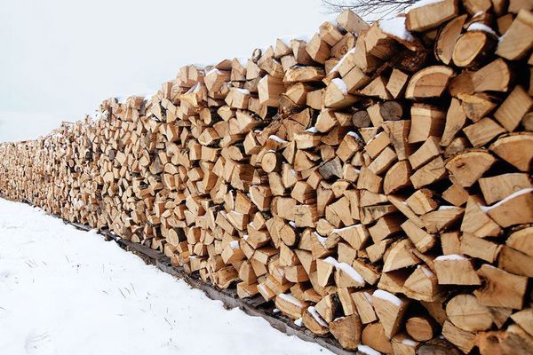 ROMSILVA recomandă populației să se aprovizioneze din timp cu lemne pentru foc