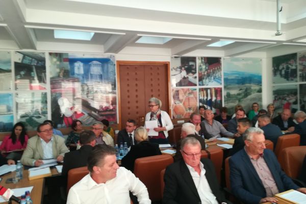 Complexul Arheologic ''Porolissum'' Moigrad, în atenţia consilierilor judeţeni