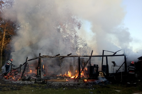 Incendiu într-o gospodărie din Bulgari. Porcii unui localnic, arși de vii