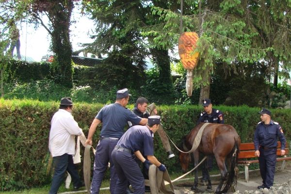 Cal căzut într-o fântână din Zalău. Pompierii, chemaţi în ajutor