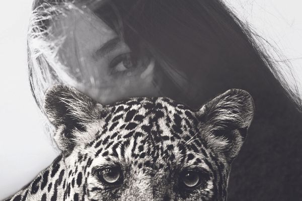 Lansare de carte la Casa de Cultură a Sindicatelor: ''Leopard în pustie'' – culegere de texte în proză, autor Ancuţa Mărieş