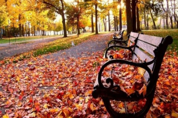 Prognoza meteo pe o lună. Schimbări majore: cum va fi vremea până pe 9 decembrie