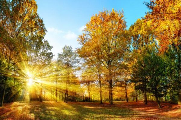  Urgență climatică: Cel mai cald octombrie înregistrat vreodată. „Nu ne-a mai rămas decât să încercăm să să ne adaptăm” 