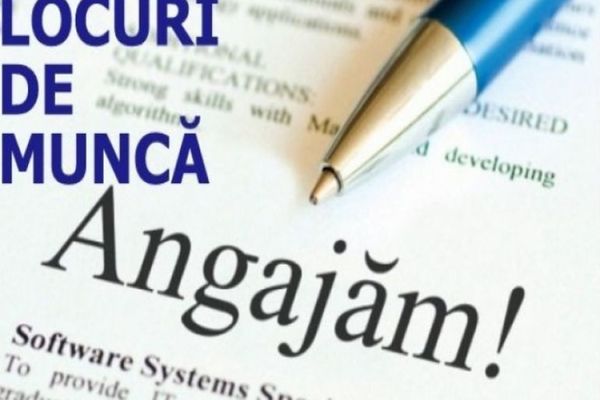  Se fac angajări. Peste 200 de locuri de muncă vacante în Sălaj