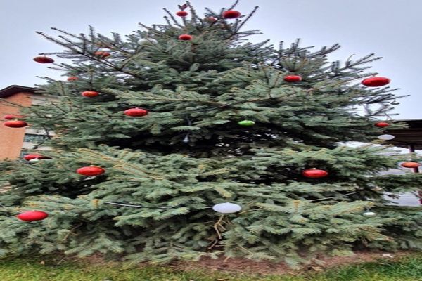 Cum împodobim bradul de Crăciun? 