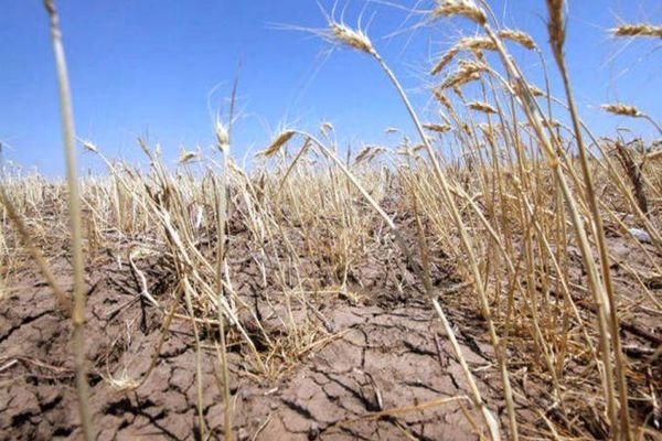 ”Legile Puterii”. România, lovită de SECETĂ ca-n `47! Ministrul Agriculturii, scenarii SUMBRE: ”Vom lua măsuri EXTREME”