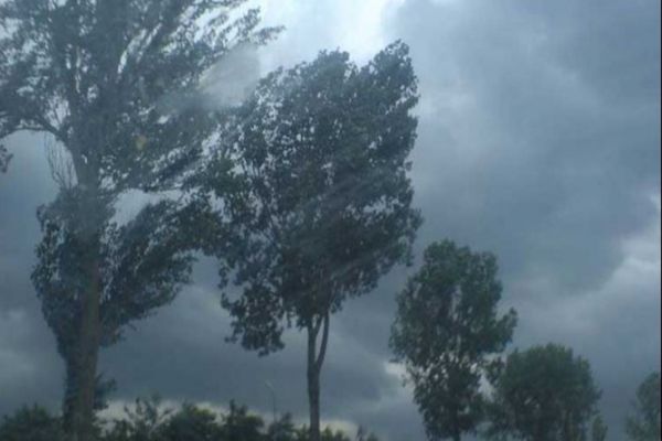 ALERTĂ METEO. România, sub cod galben. Ploi și vijelii în toată țara până marți