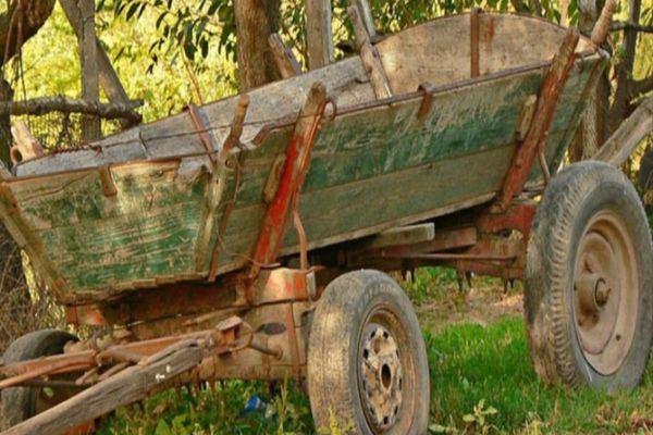 Rănit grav, după ce a căzut dintr-o căruță 