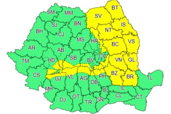 Cod galben de NINSORI și VISCOL