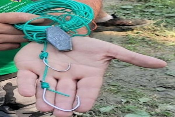 Controale pe linie piscicolă, desfășurate de jandarmii sălăjeni! Ce sancțiuni au fost aplicate