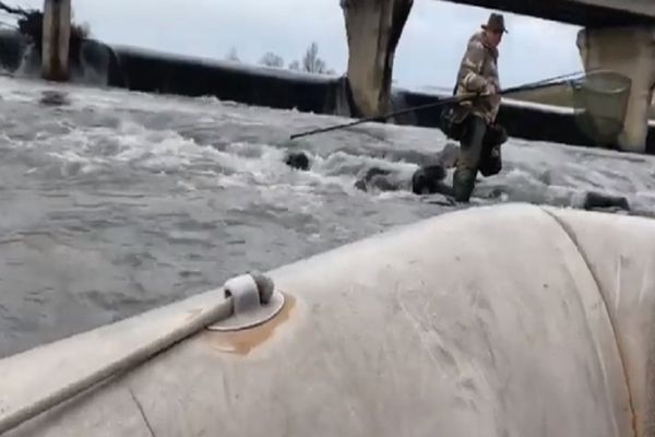 Doi bistrițeni și un maramureșean, lăsați fără permise de pescuit și amendați de către jandarmii sălăjeni