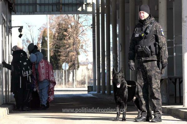 15.286 cetăţeni ucraineni au intrat în România în ultimele 24 de ore