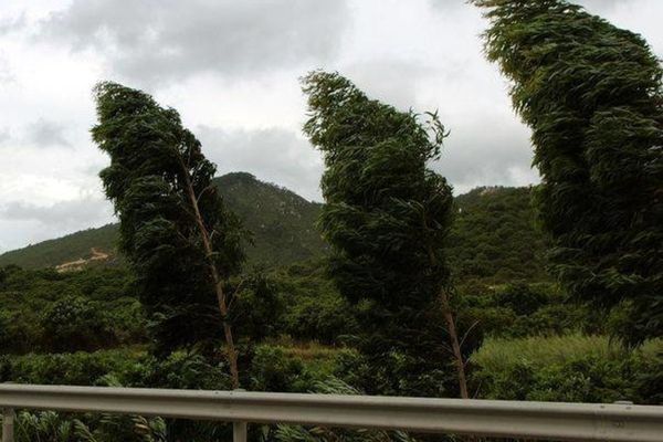 Se răcește vremea accentuat: ploi, vânt, lapoviță și ninsoare! Parte din județe, sub COD GALBEN  de vreme rea