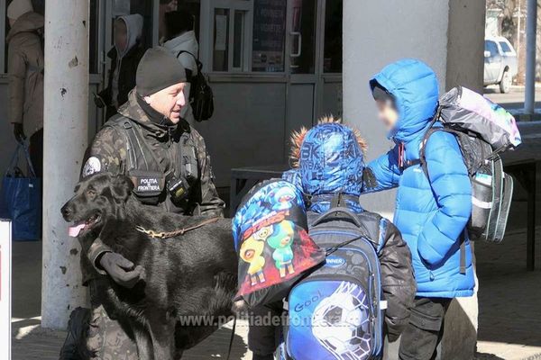 Aproximativ 8.300 de ucraineni au intrat în România, în ultimele 24 de ore