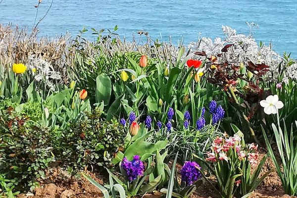 Ce nume se sărbătoresc de Florii