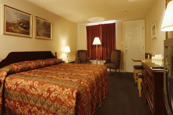 Cum să ai răcoare în casă fără aer condiţionat. Tot ce trebuie să știi pentru o vară perfectă