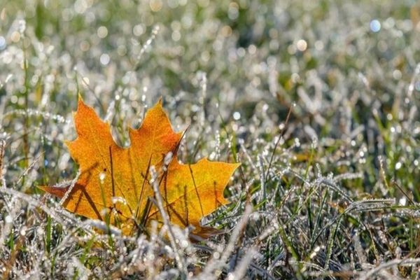 Vremea 19 septembrie - Temperaturile scad în toată țara - Unde va fi lapoviță și ninsoare