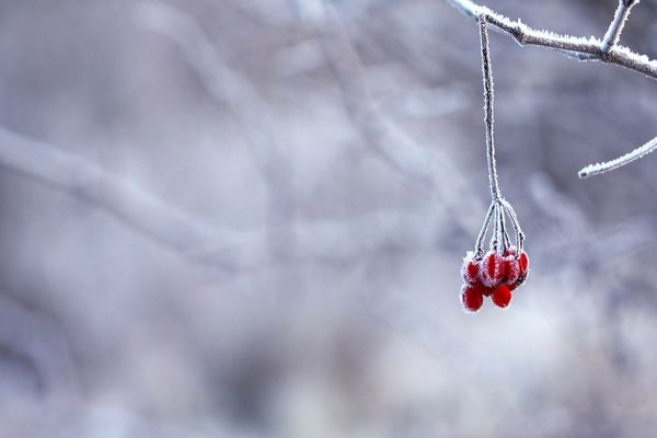 Ce să NU faci niciodată când e frig. Te poate ucide în câteva secunde