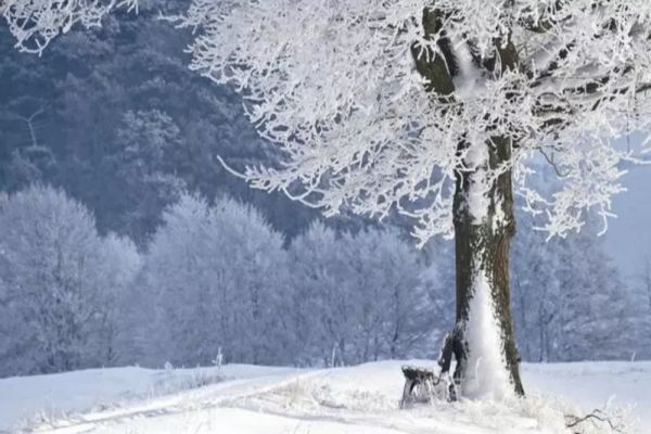 Vom avea sau nu zăpadă de Crăciun? Ce spune meteorologul ANM