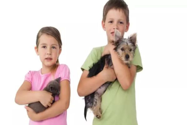 STUDIU. Oamenii care au acest animal de companie trăiesc mai mult