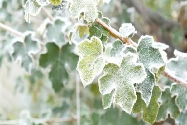 Cum va fi vremea de 1 Decembrie și în mini-vacanță - Meteorologii ANM au făcut anunțul