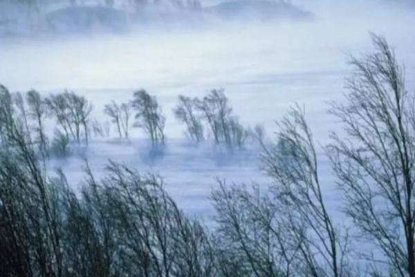 Vremea 15 decembrie - Intensificări puternice de vânt cu viteze de peste 100km/h