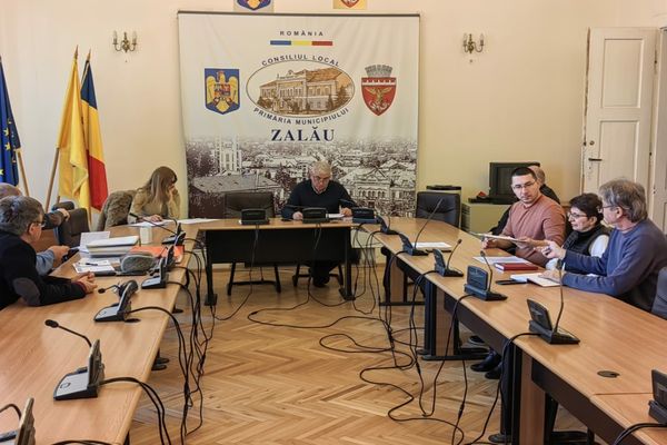 Zalău: Rețeaua de iluminat public, extinsă pe 13 străzi din municipiu! Investiția se apropie de 800.000 lei