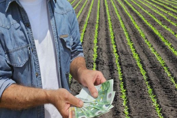 Peste 648 milioane euro autorizate la plata finală în cadrul Campaniei 2022 