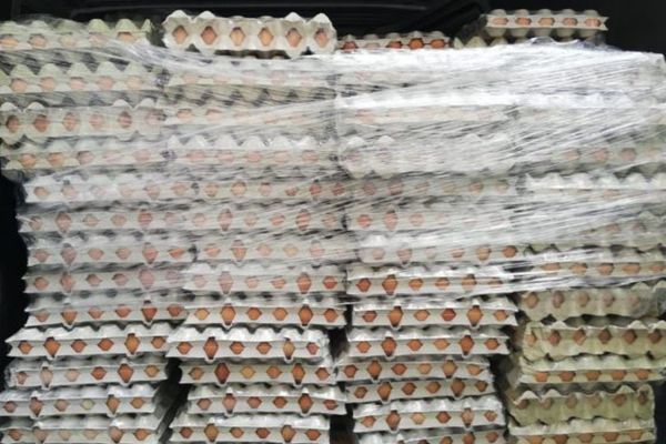 Ouă mai scumpe înainte de Crăciun - România importă o mare cantitate