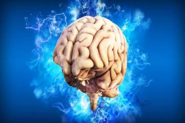 Omenirea, amenințată de o nouă pandemie - virusul care umflă creierul. Cercetător: "Nu o mai ajutați pe Mama Natură să ne omoare!"