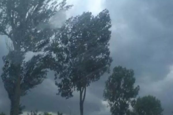 ATENȚIONARE METEOROLOGICĂ – COD GALBEN DE VÂNT PUTERNIC