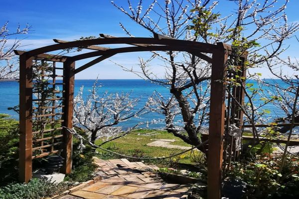 Ce se întâmplă cu vremea - Prognoza pentru următoarele 4 săptămâni