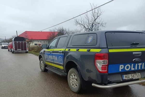 Deținătorii de animale din Surduc, verificați de polițiști! Au fost aplicate amenzi de peste 6.000 de lei