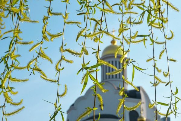 Tradiții de Florii! Ce trebuie să faci ca să-ți meargă bine tot anul