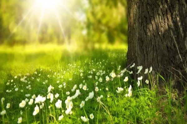 VREMEA 12 AUGUST. VREME CĂLDUROASĂ ÎN MAJORITATEA ZONELOR 