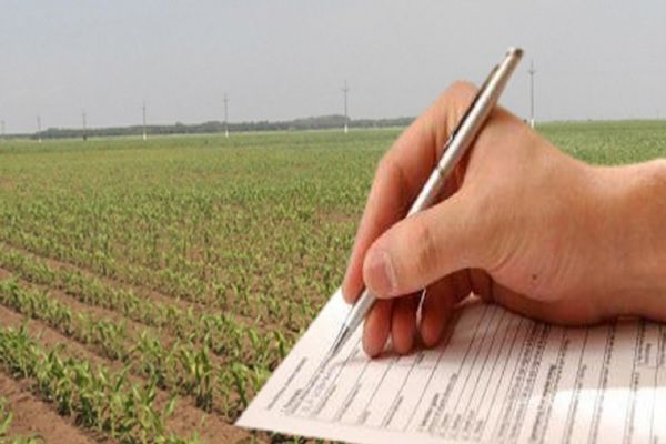 Aproape 756.000 de cereri de plată, depuse la APIA