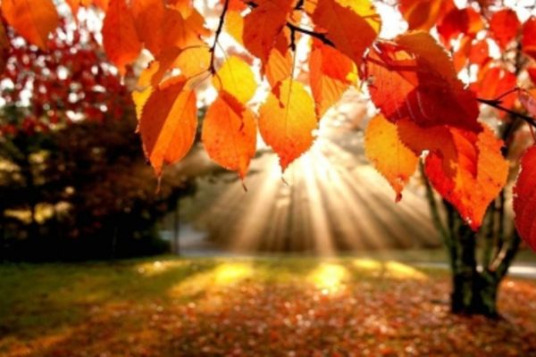 PROGNOZA METEO PENTRU LUNA SEPTEMBRIE: TEMPERATURI PESTE NORMAL ȘI PRECIPITAȚII VARIABILE 